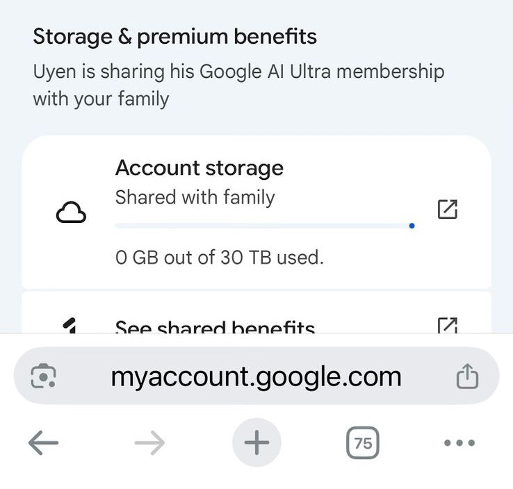 Google AI Ultra VEO3 and Antigravity Access - 25000 Credits