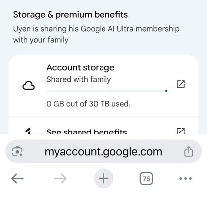 Google AI Ultra VEO3 and Antigravity Access - 25000 Credits